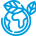 image-icon
